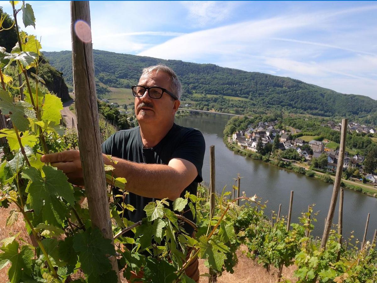 Weingut Und Pension Markus Kochems Mesenich Exterior photo